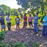 Quilombola Família Osório