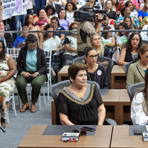 Audiência pública sobre violência contra a mulher