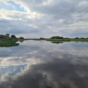 Pantanal de Porto Murtinho