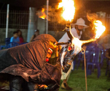 Proposição de Zeca, Festival do Toro Candil é declarado patrimônio cultural de MS