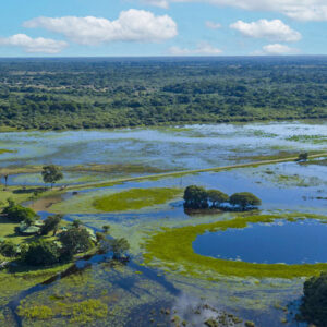 Segunda votação da Lei do Pantanal