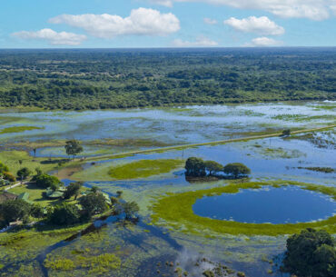 Segunda votação da Lei do Pantanal