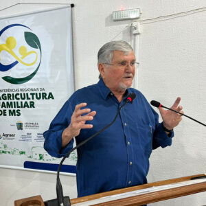 Reuniões com companheiros de Sonora, Pedro Gomes e Coxim