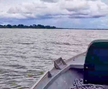 Nosso Pantanal Curtindo a exuberância do nosso Pantanal