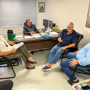 Agendas e atendimentos de 05/02/25