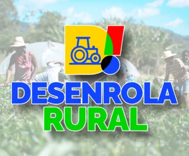 Desenrola Rural 3 tem ampliação de prazo e retomada do acesso ao crédito na agricultura familiar